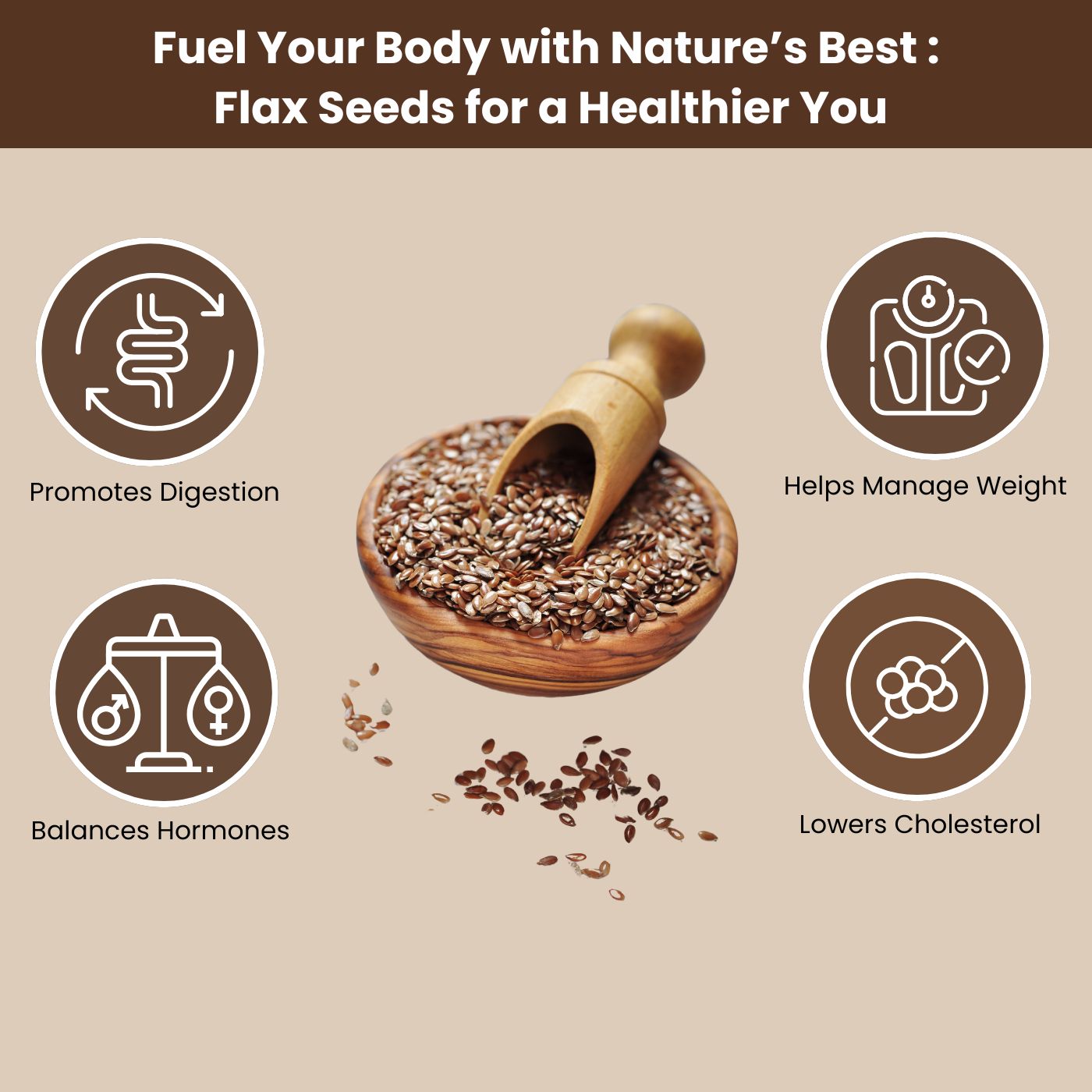appeatoz flax seeds rich in nutrients